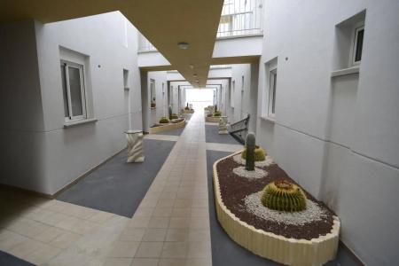 Arena Suites - 10