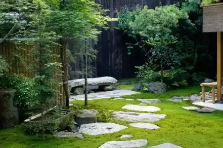 Jeugiya - 29