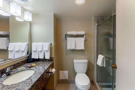 Best Western Plus Toronto Airport - 9