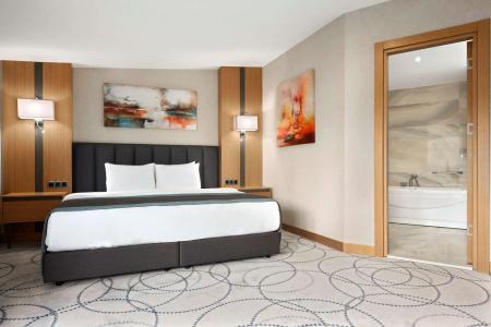 Ramada Bursa Nilufer - 6