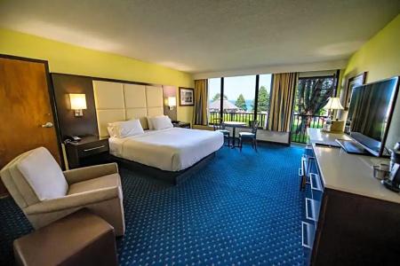 Holiday Inn Regency, An Ihg - 78