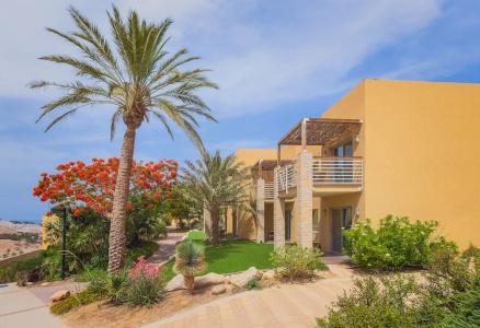 Ein Gedi Kibbutz - 75