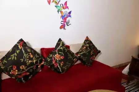 Riad Toyour- Riad of birds - 53
