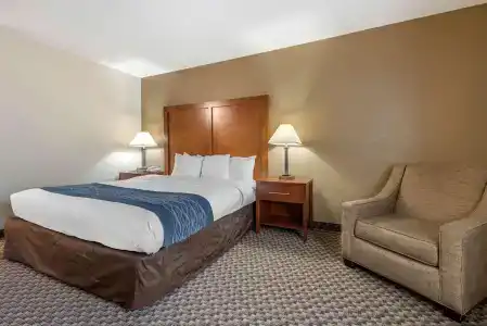 Comfort Inn South - 34