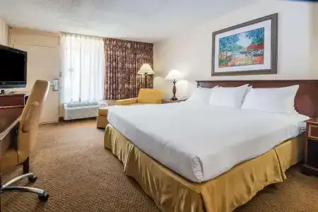 Days Inn by Wyndham Fort Hood - 26