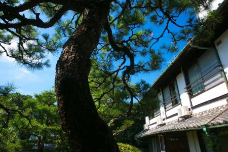 Ryokan Wataya - 12