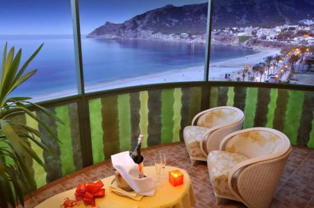 Kaktus Albir - 10
