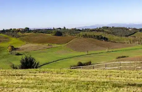 Tenuta Di Colle Alberti - 63