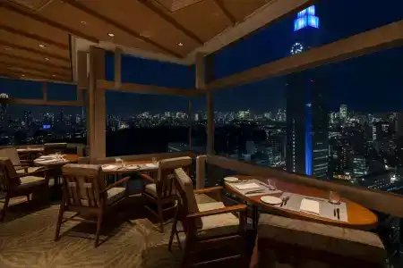 Odakyu Century Southern Tower - 20