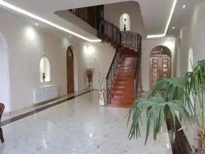 Гоги Алибегашвили - 3