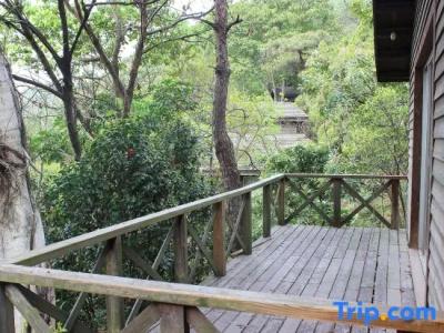 Evergreen Resort - 36