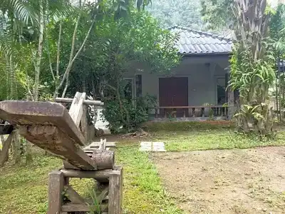 Chiang Dao Hut - 33