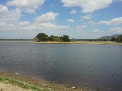 Tissa Resort - 7