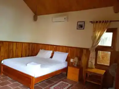 Free Beach Resort - 124