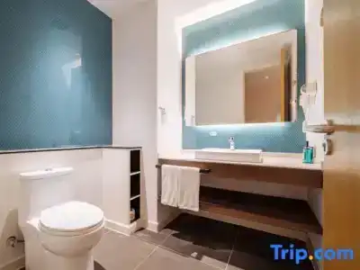 Holiday Inn Express Nanjing Dongshan, An Ihg - 76