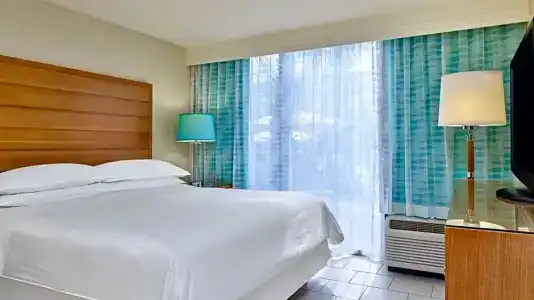 Sheraton Orlando Lake Buena Vista Resort Near Disney Springs - 54