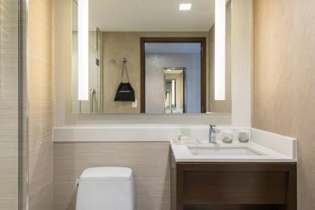 Holiday Inn Brooklyn Downtown, An Ihg - 64