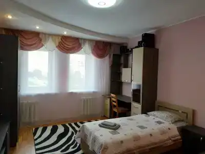 Большая квартира с кондиционером на пр Ленина - 8