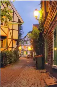 Berliner Hof - 20