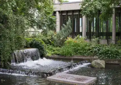 Bonaventure - 85