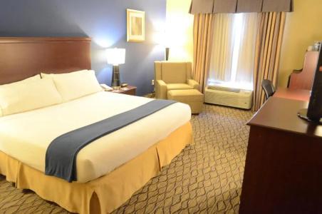 Holiday Inn Express & Suites Houston-Downtown Convention Center, An Ihg - 38