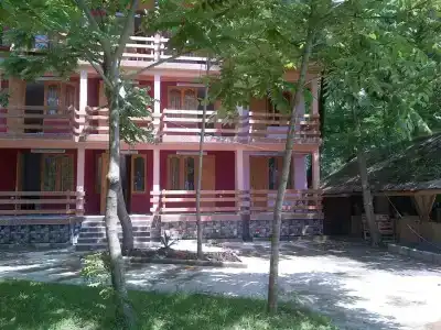 Форест Фей - 8