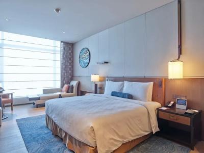 Hualuxe Nanjing Yangtze River, An Ihg - 4