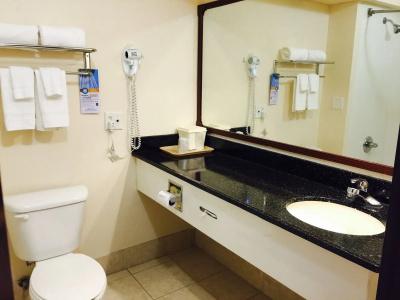 Quality Inn & Suites West Chase - 8