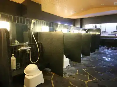 Apa Keisei Narita Ekimae - 9