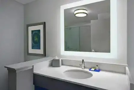 Holiday Inn Express - Houston - Galleria Area, An Ihg - 30