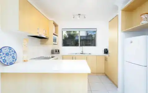 Noosa River Palms - 110