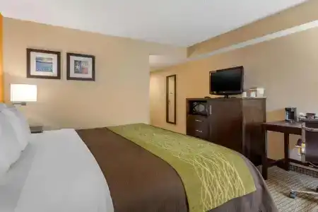 Comfort Inn 290/Nw - 36