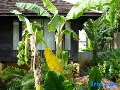 Baan Saen Fang Chiang Mai - Sha Plus - 120