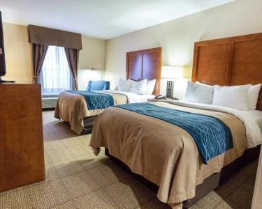 Comfort Inn Civic Center - 40