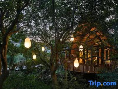 Hangzhou Senbo Resort - 93