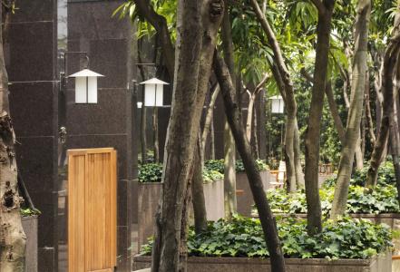 Grand Hyatt Chengdu - 25