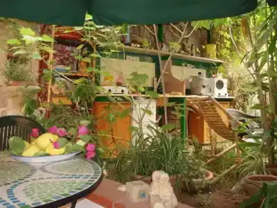 The Garden - 8