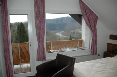Pension Haus Diefenbach - 45