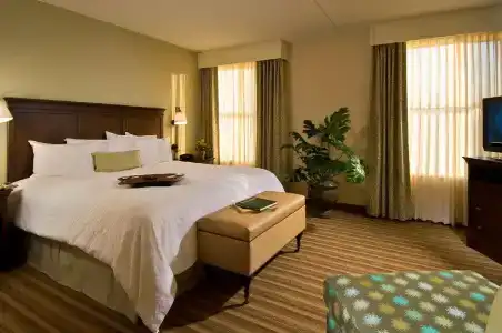 Hampton Inn and Suites Downtown - 96