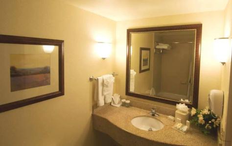 Hilton Garden Inn - 9