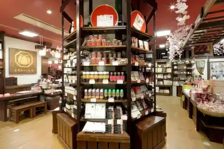 Hikone Castle & Spa - 8