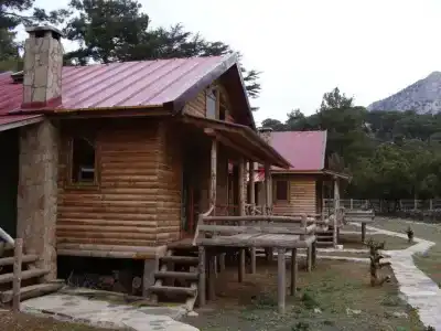 Babakamp Eco Ranch & Retreat - 3