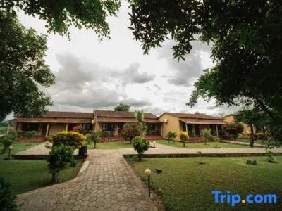 Baghmara Wildlife - 43