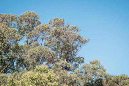 Quality Suites Banksia Gardens- Apartment - 168