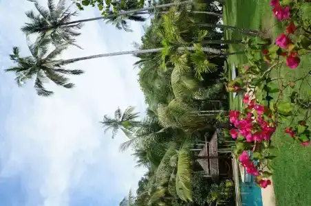 Koyao Bay Pavilions - Sha Extra Plus - 53