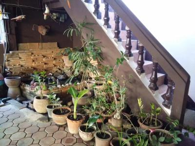 North Star Guest House - 16