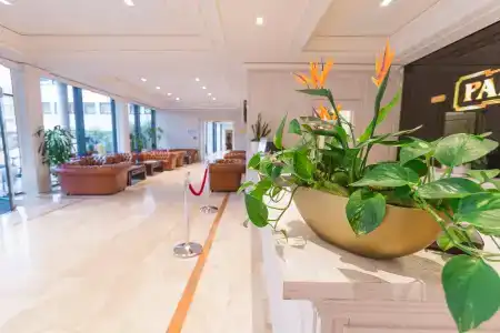 Grand Palladium - 36