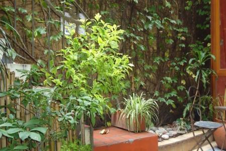 Rugantino Boutique - 1