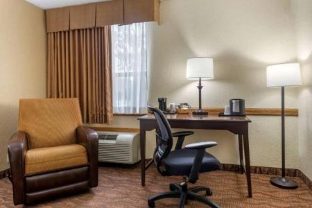 Comfort Inn at Thousand Hills - 41