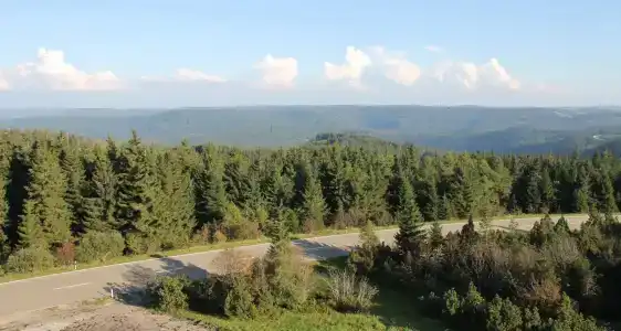 Nationalpark-Schliffkopf - 18